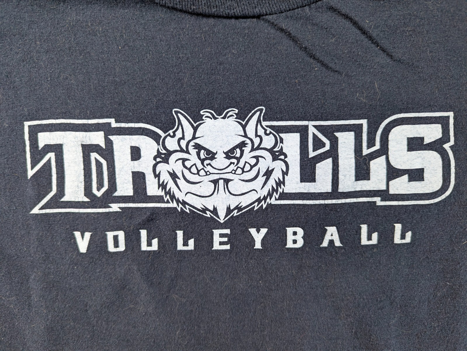 Adidas The Go to Tee Men Large Blue Trolls Volleyball Trinity Christian Crewneck gallery