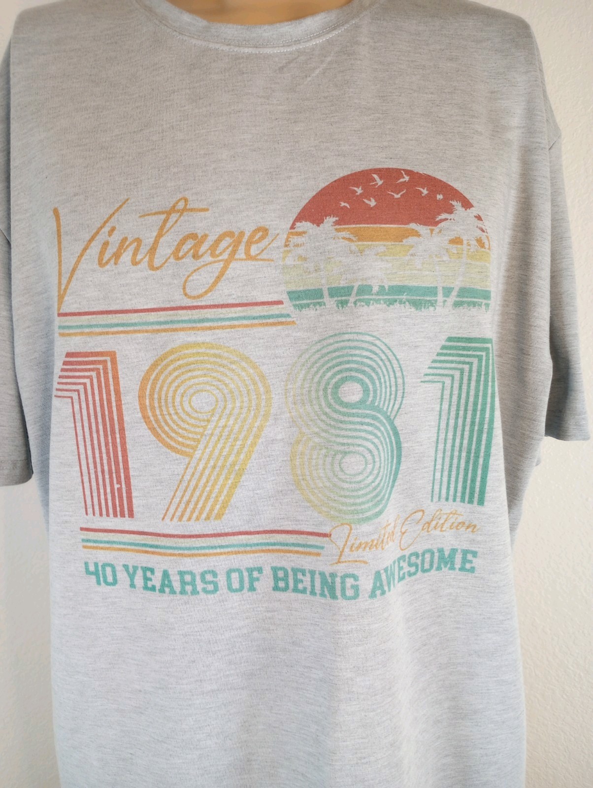 Cricut Men's Vintage 1981 95% Polyester 5% Elastane 2XL Crew Neck SS Multicolor gallery