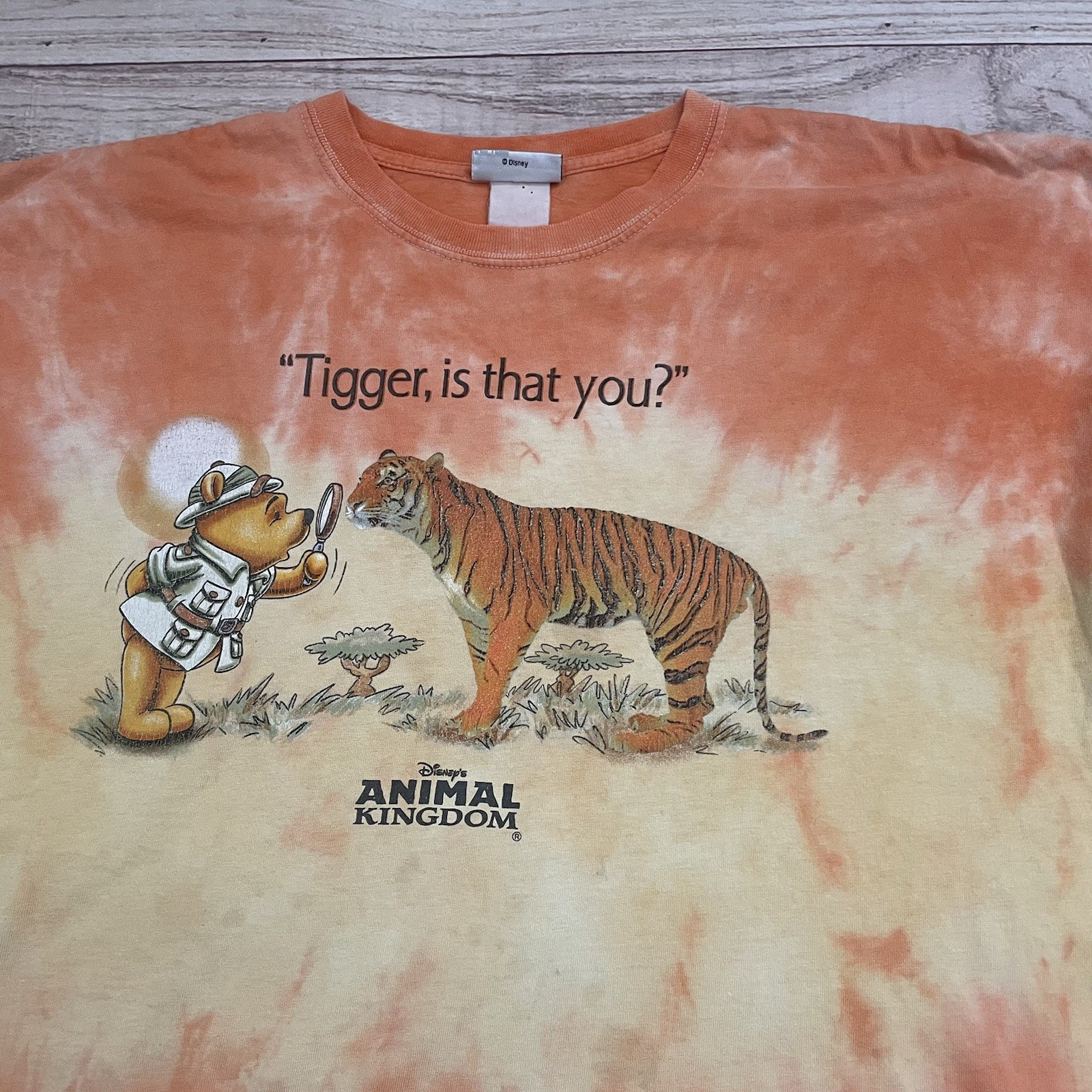 Vintage 90s Disney Animal Kingdom Tigger Is That You? Winnie the Pooh T-Shirt XL gallery