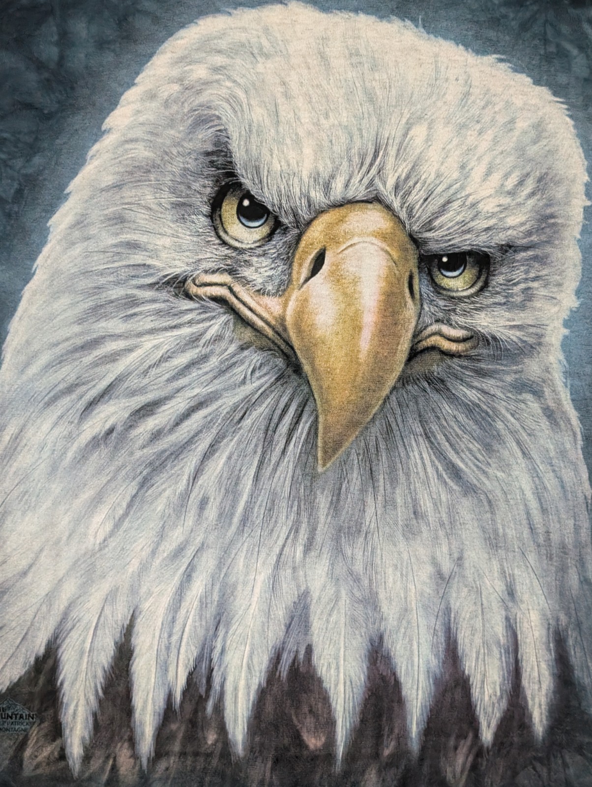 The Mountain Mens T-shirt Blue Face Of An Eagle Wildlife Retired Logo XL #6261
