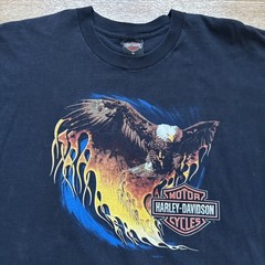 Vintage 2002 Y2K Harley Davidson Eagle Flame Holoubek T-Shirt XL Double Sided