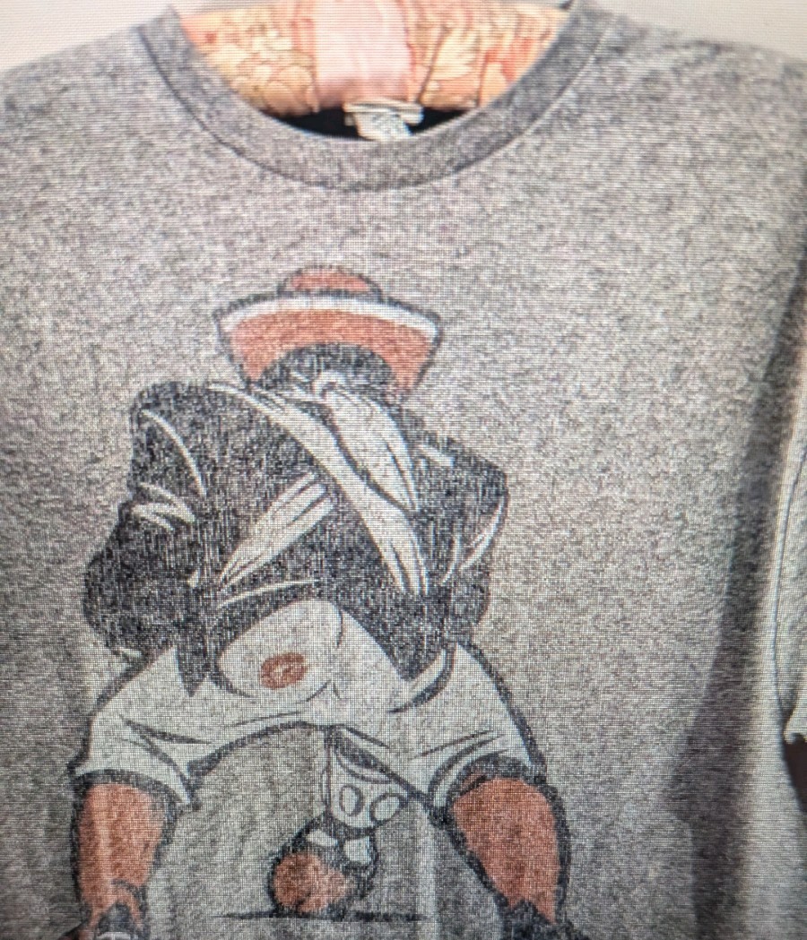 Vintage Delta Pro Weight T Shirt Mens Size L Gray Pucker Up Graphic Tee Y2K gallery