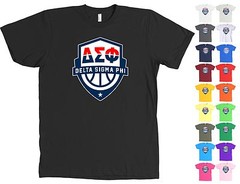 Delta Sigma Phi Fraternity Bella + Canvas Shirt Basketball Tee – NEW