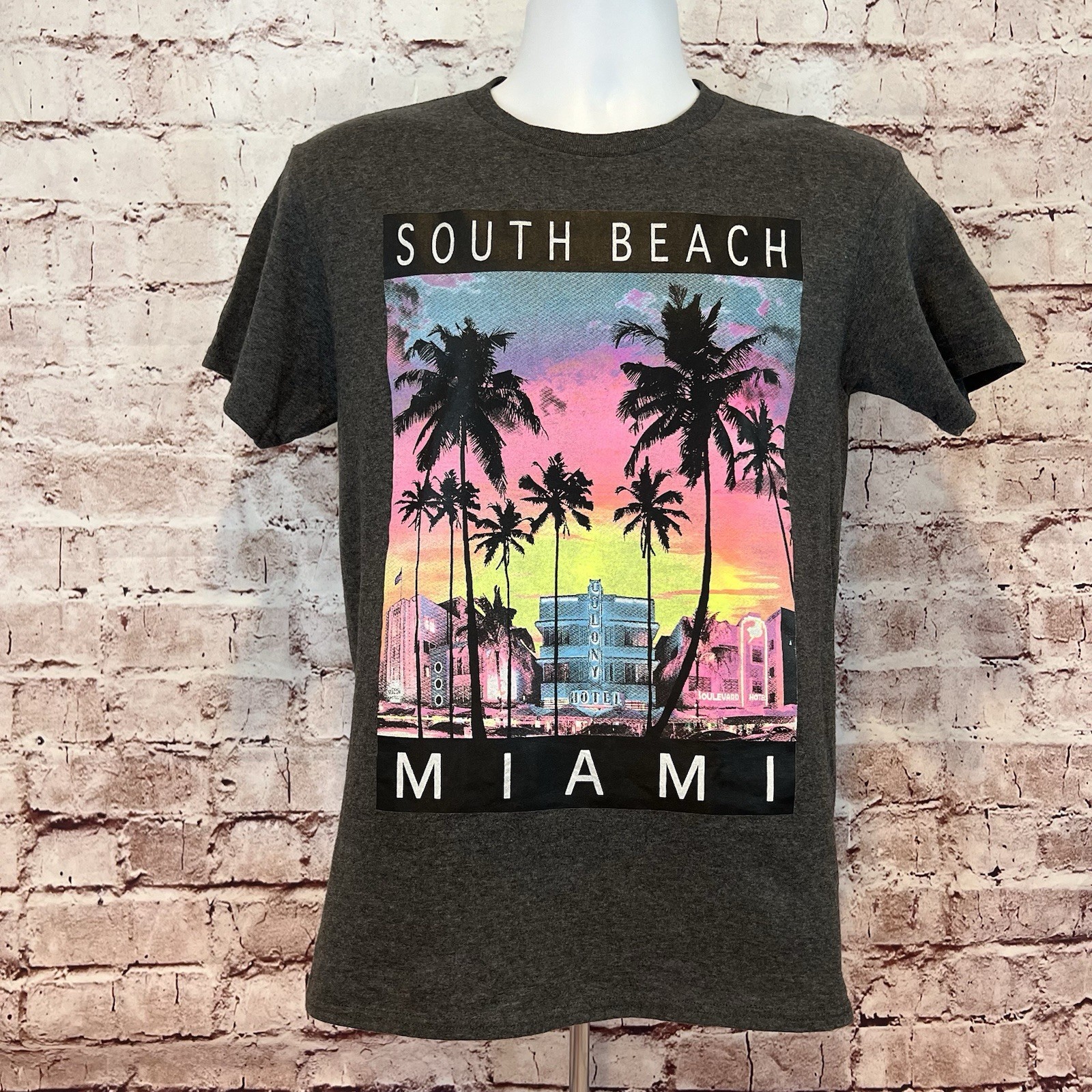Delta Pro Weight Men’s Gray South Beach Graphic Print Short Sleeve T-Shirt Small