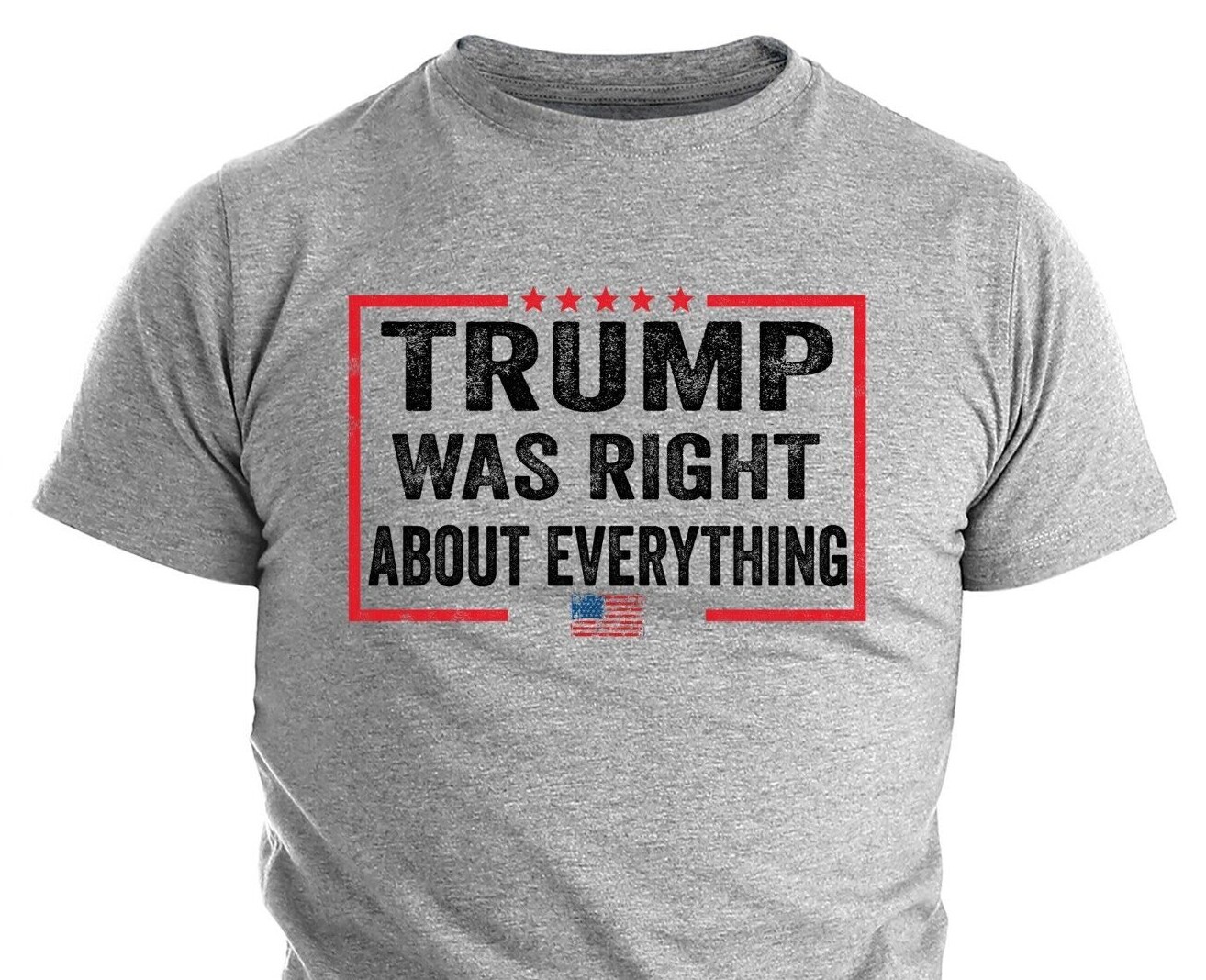 Donald Trump Was Right Humor T shirt Funny Election Trump 2024 Political Shirts gallery