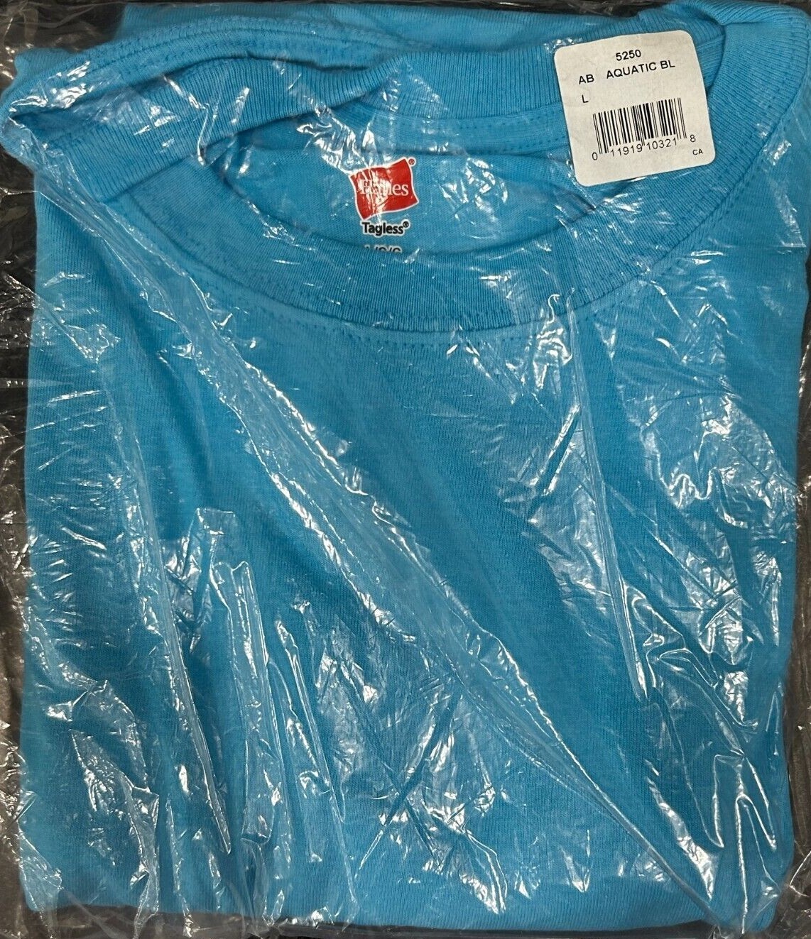 Hanes Tagless 100% Preshrunk Cotton Men's Size Large Tee Shirts Many Colors gallery