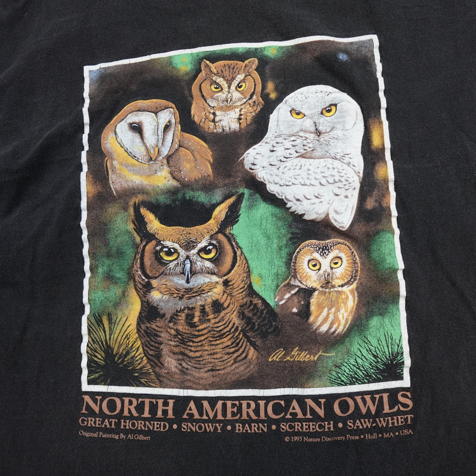 Vintage Nature Discovery Press Shirt Mens Large Black North American Owls 1993 gallery