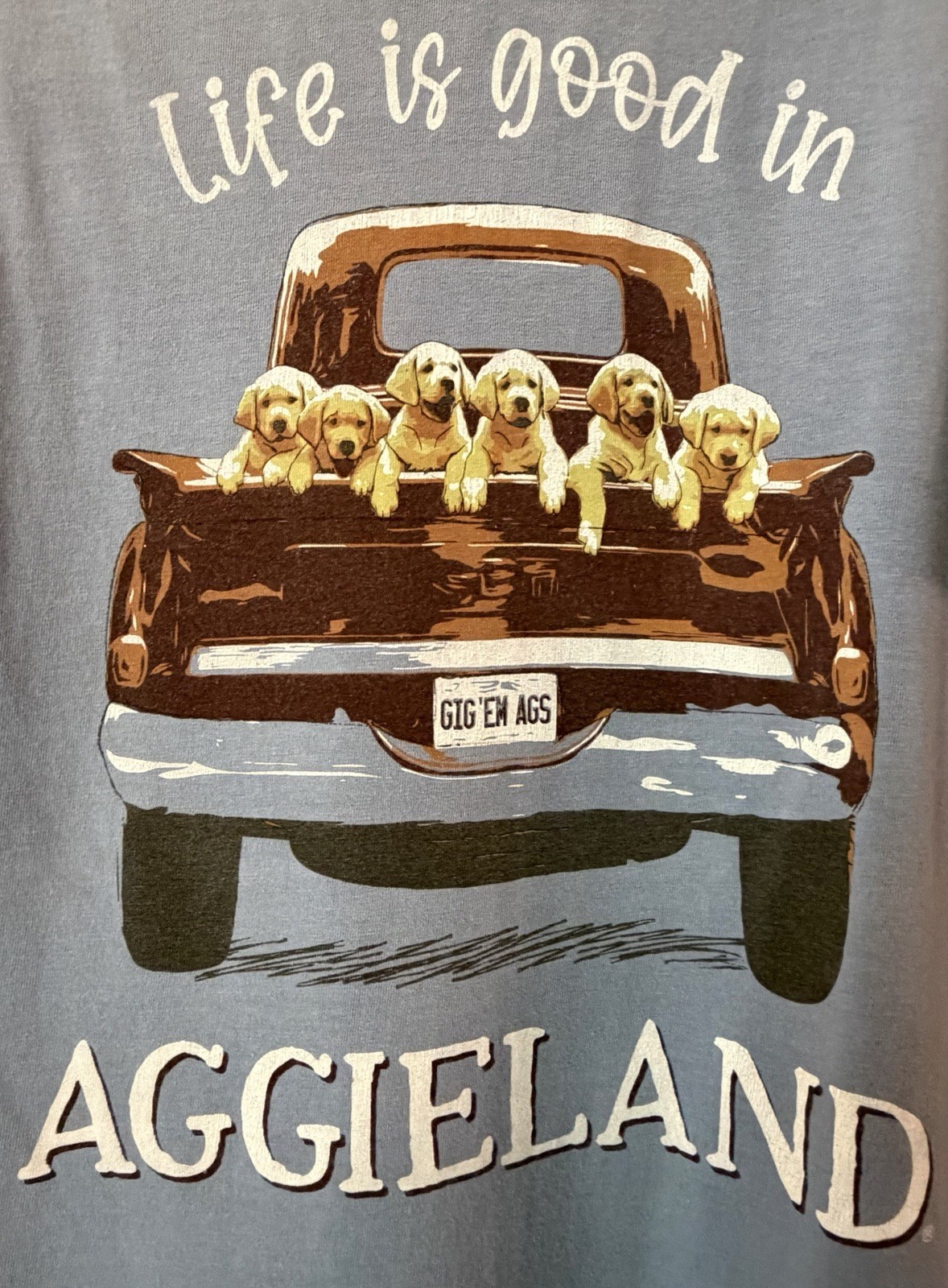 Texas A&M T-Shirt, Light Blue, Dogs, Size Adult Small (S) gallery