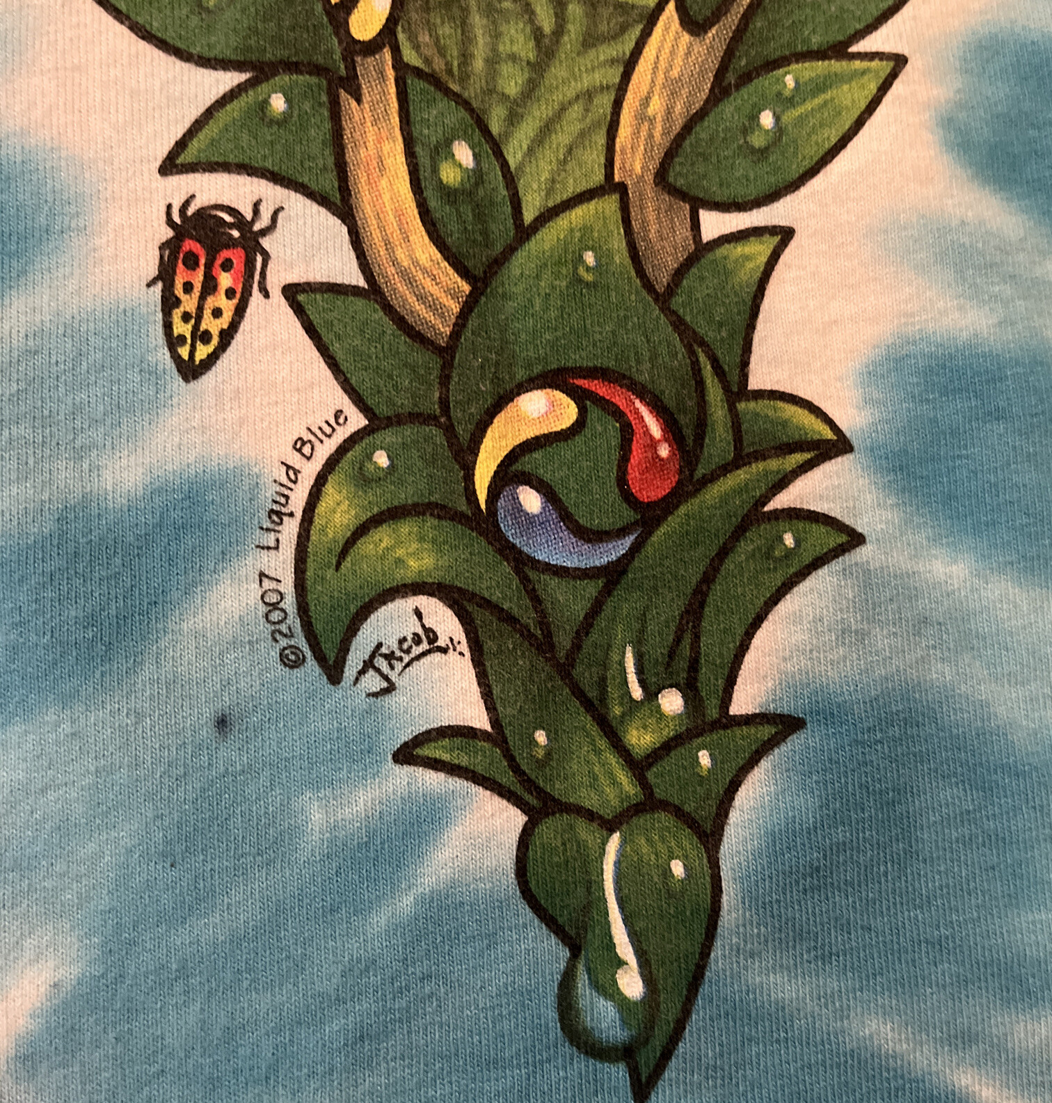 Unisex 2007 LIQUID BLUE RAINFOREST CAFE T-SHIRT FROGS See Photos For Measurement gallery