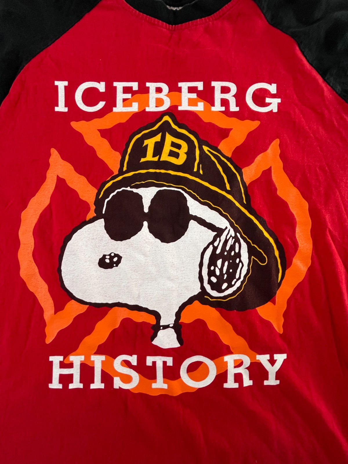 Vintage Iceberg History Peanuts Snoopy Men's Long Sleeve Shirt Size XXL ST45 gallery