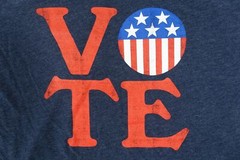 KID DANGEROUS BLUE LARGE VOTE VOTING USA AMERICAN FLAG POLITICAL ART TSHIRT