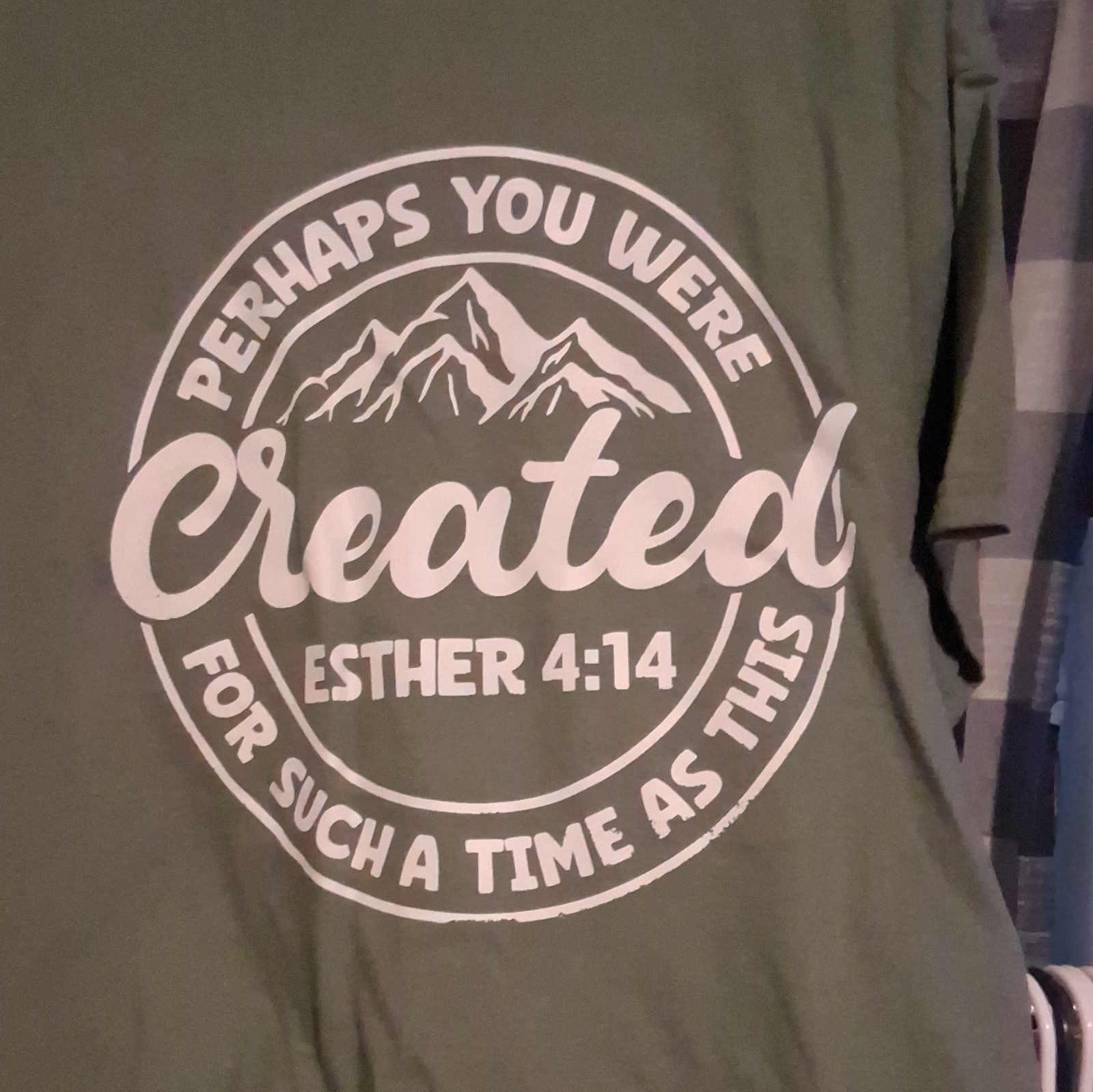 Gildan Heavy Cotton Men's L Green Crew Neck Short Sleeve Esther 4:14 Tee gallery