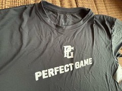Perfect Game USA Baseball Player Development S/S T-Shirt Black X-Large – NWT!