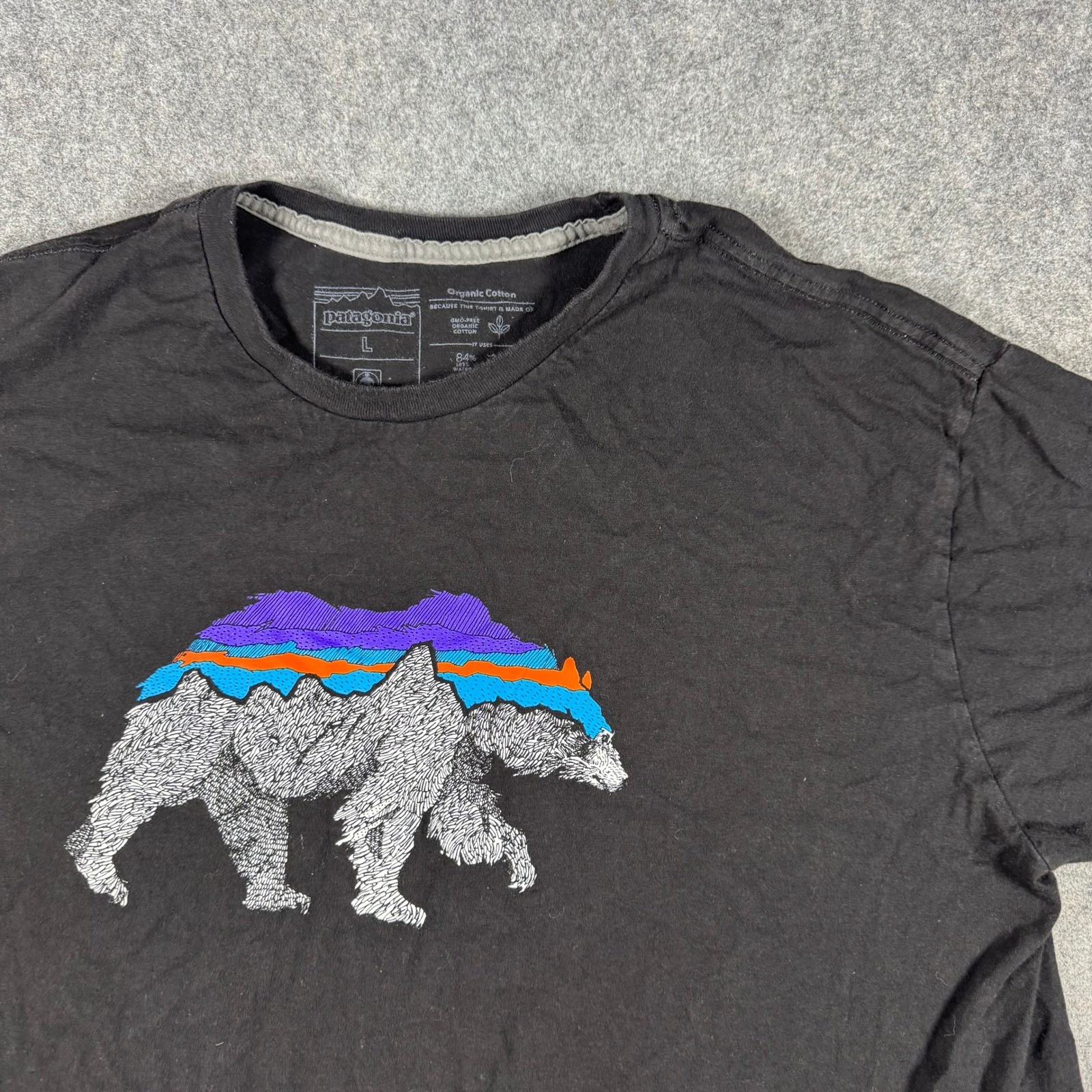 Patagonia Shirt Mens Large Black Fitz Roy Bear Graphic Organic Cotton Tee Hiking gallery