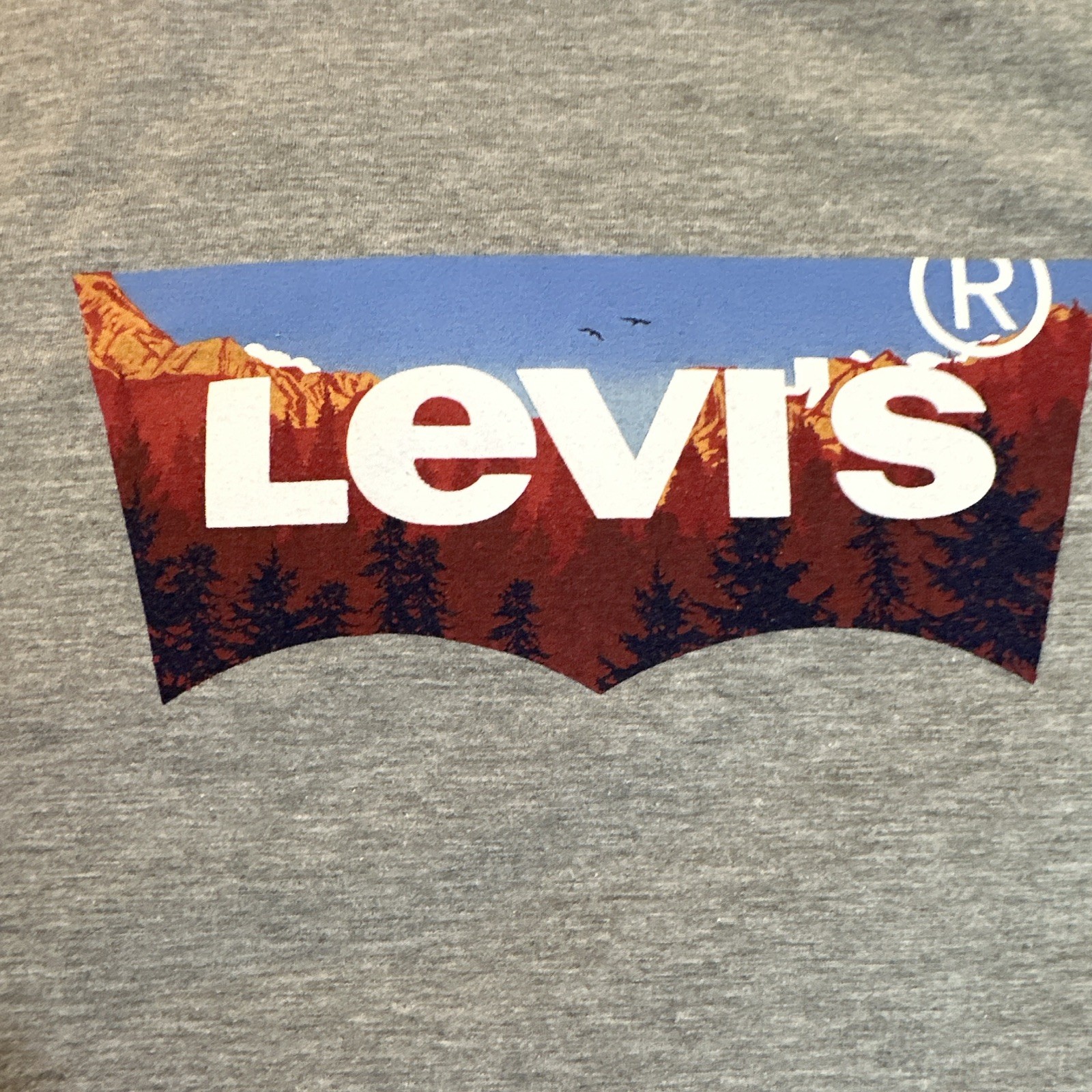 Levi's Men's Gray Graphic Logo T-Shirt Crew Neck Short Sleeve Cotton M gallery
