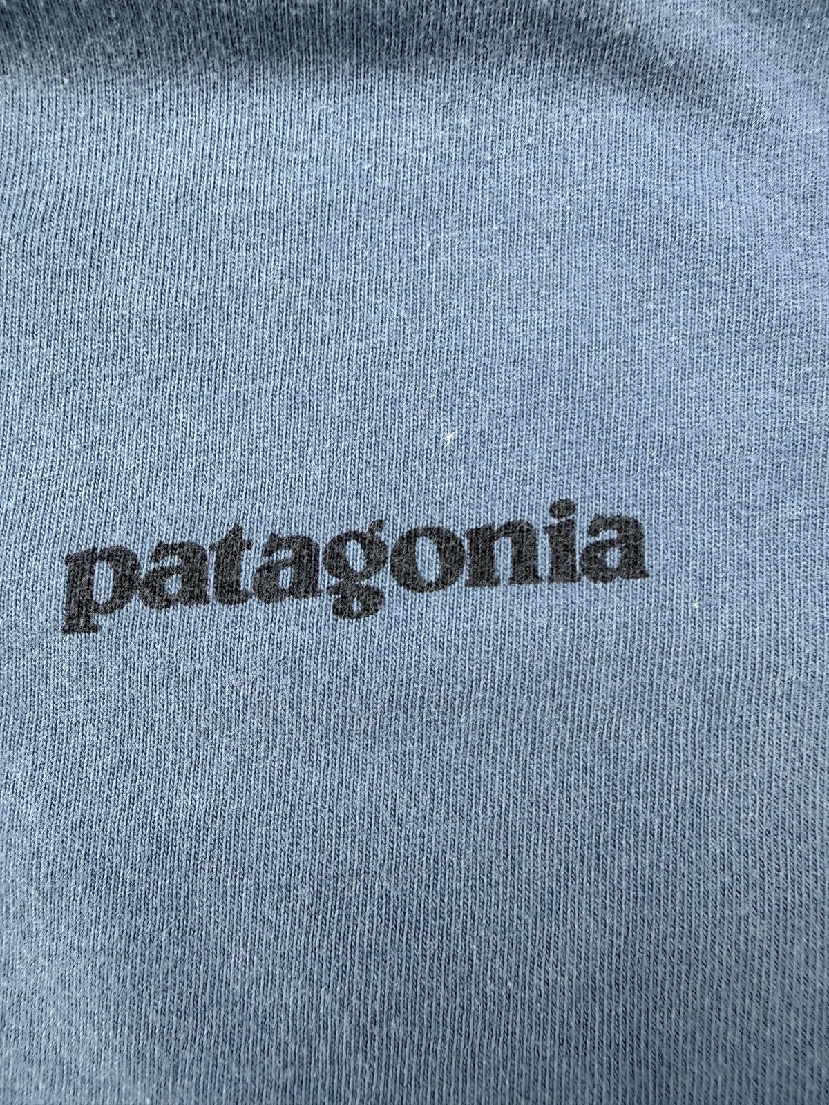 Patagonia Shirt Mens Large Blue Back Logo Graphic Tee Tagless Outdoor Hiking gallery