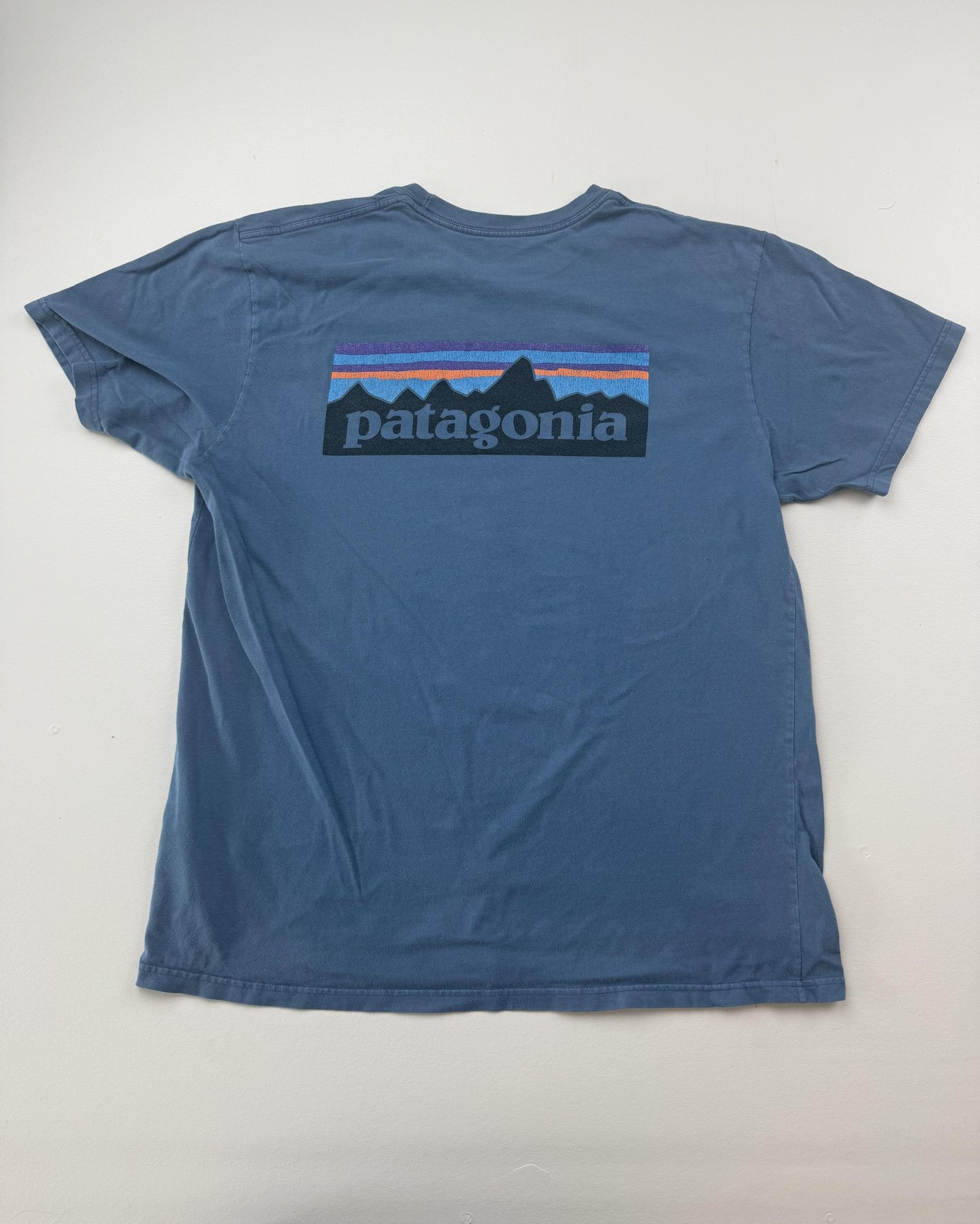 Patagonia Shirt Mens Large Blue Back Logo Graphic Tee Tagless Outdoor Hiking gallery