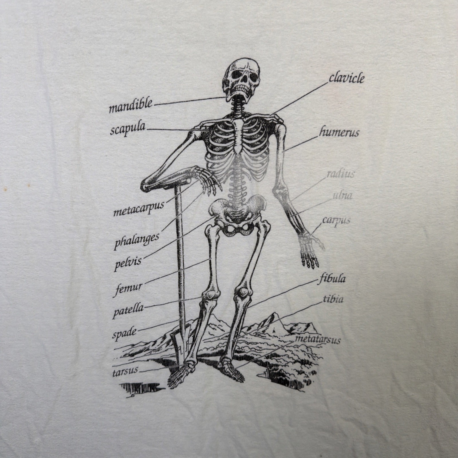 Vintage Skeleton Shirt Mens XL White 90s Anatomy Science Bones USA Art Portrait gallery