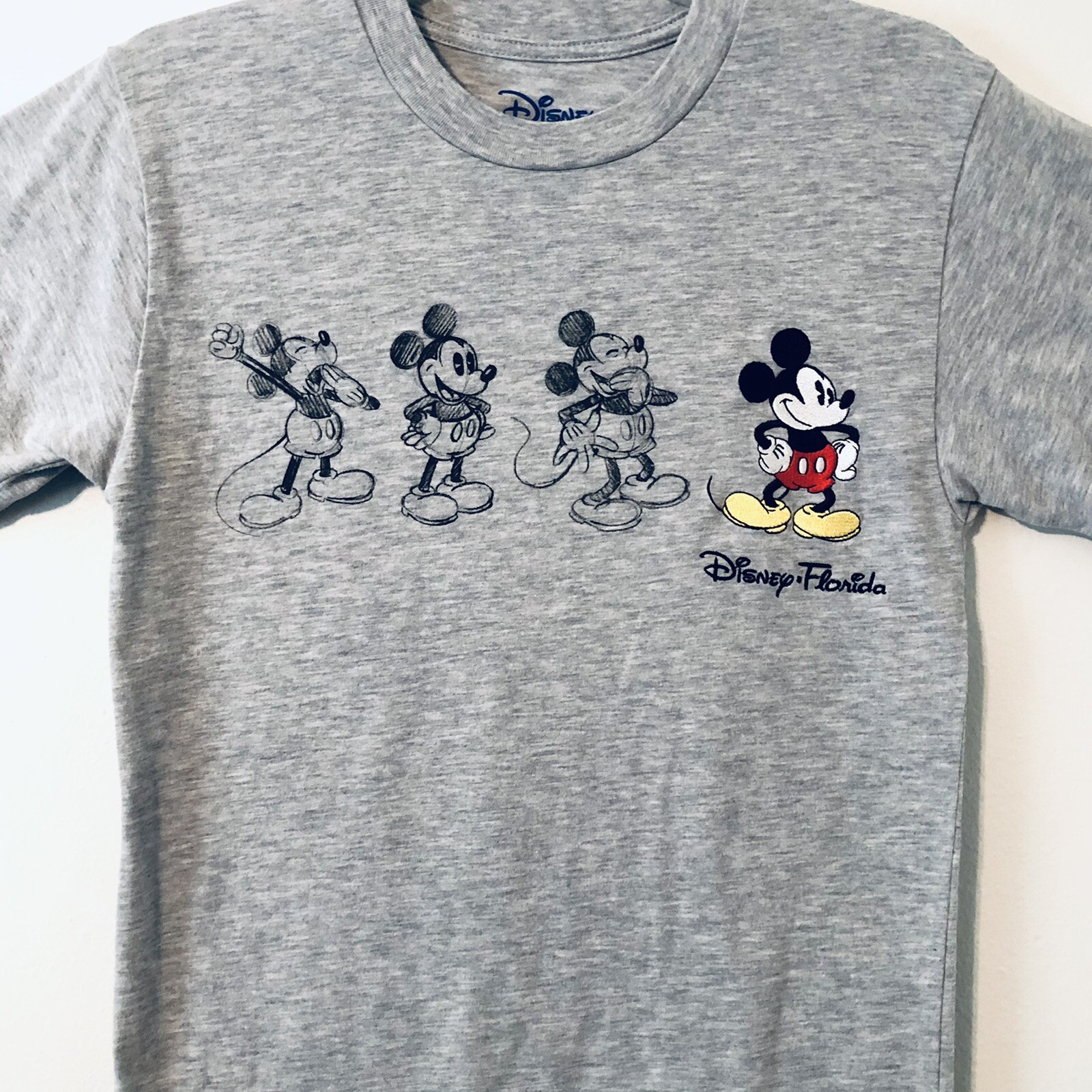 Disney Florida Mickey Mouse Sketch Drawing & Embroidery Gray T Shirt Sz S 34-36 gallery