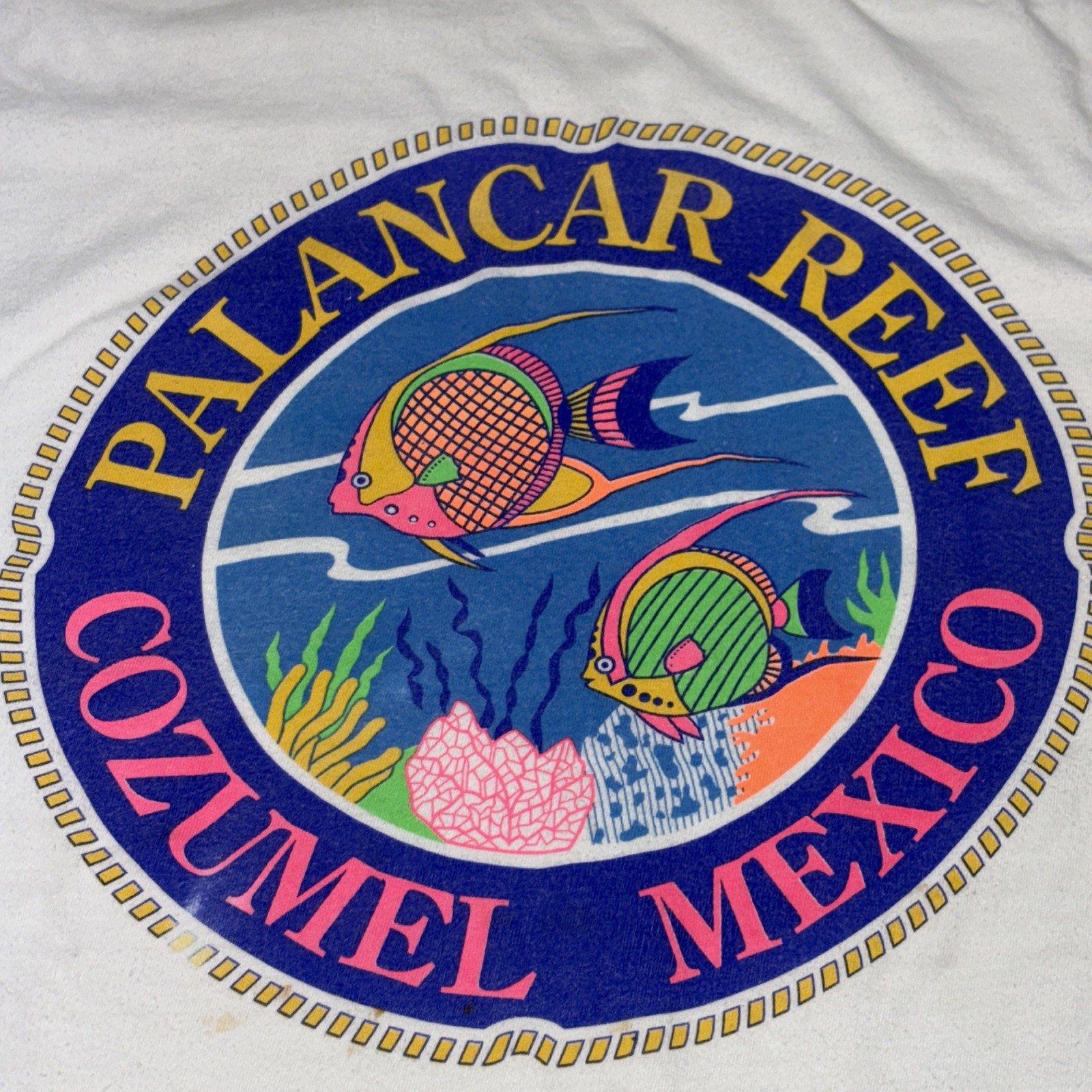 Vintage Palancar Reef T-Shirt Mexico Ocean Wildlife Sz XL Fish Tourist Cozumel gallery