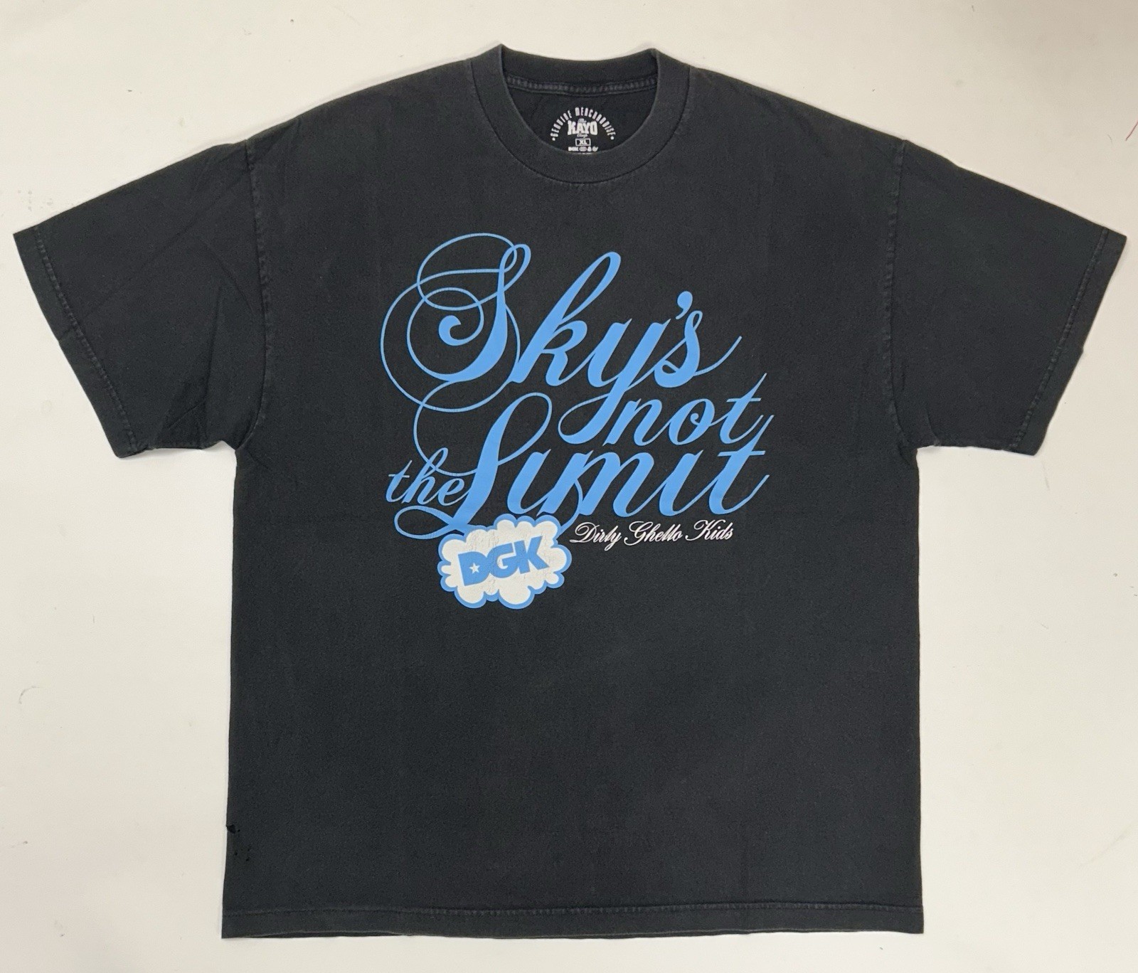 Vintage DGK Dirty Ghetto Kids Sky’s Not The Limit Skate Tee Skateboarding XL 00s gallery