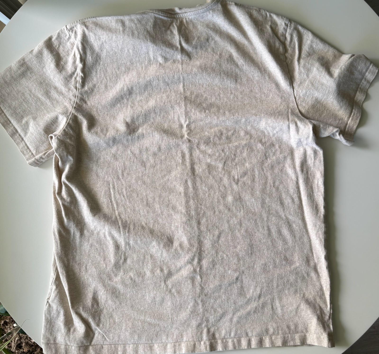 Everlane Men's Premium-Weight Crew T-Shirt - Heather Oatmeal - Size L gallery