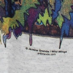 WILD THINGS Janene Grende Multi Colored Running Horses T shirt Short Sleeve XL