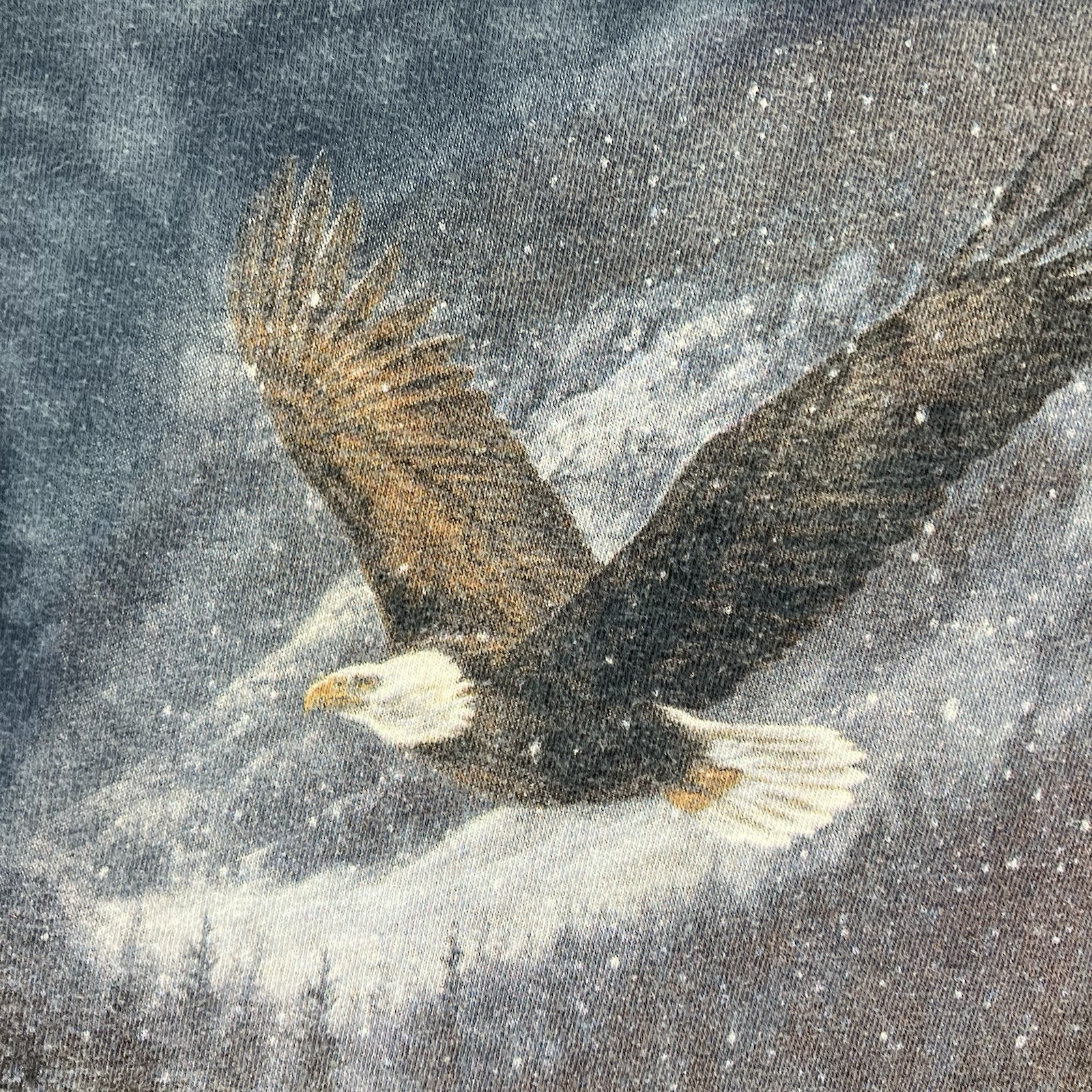 Nature Shirt Mens Large Bald Eagle Winter Scene Washed Blue The Mountain gallery