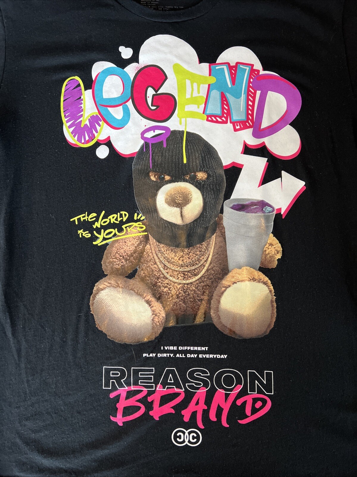 Reason Brand Teddy Bear Legend T-Shirt- Mens LARGE “the World Is Yours” Tee gallery
