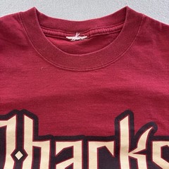 Arizona Diamondbacks Eric Byrnes #22 Shirt Jersey Medium 19×26 (WxL)