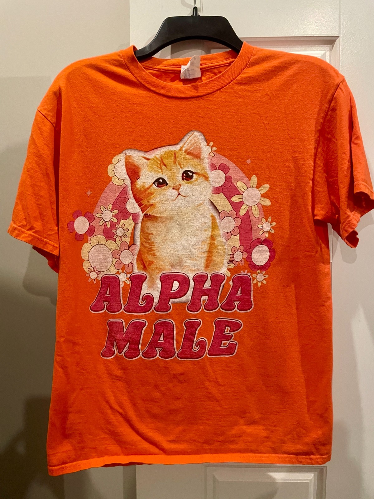 Alpha Male cute Kitten T-shirt Tee Funny Kitty Cat Meme Shirt Size M orange gallery