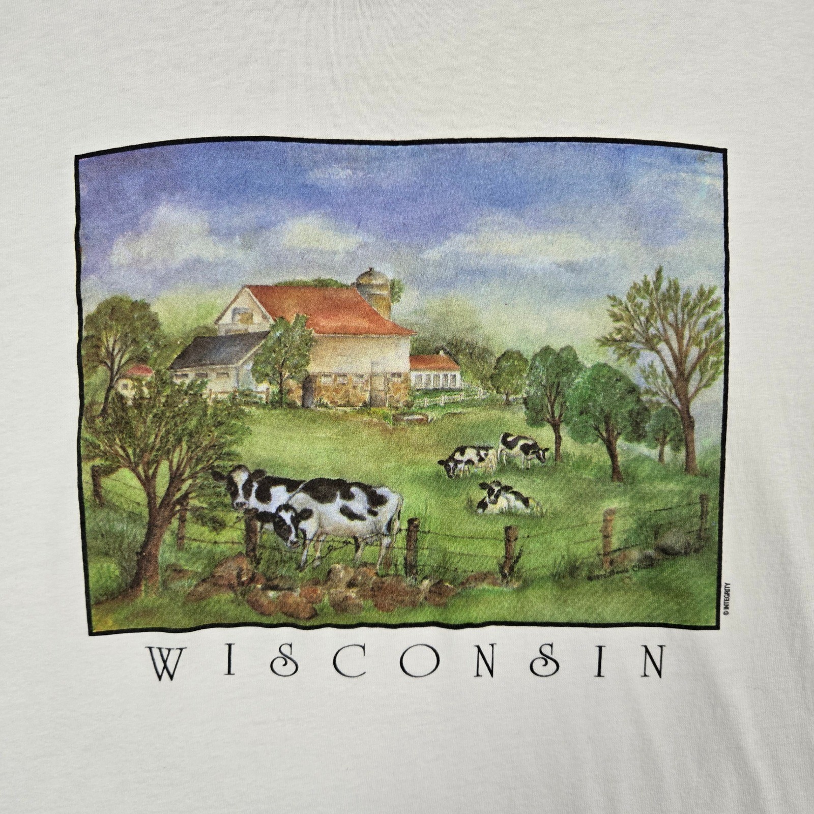 Vintage Wisconsin T-Shirt Mens XL White Cow Farm Graphic 90s Made USA Hanes gallery