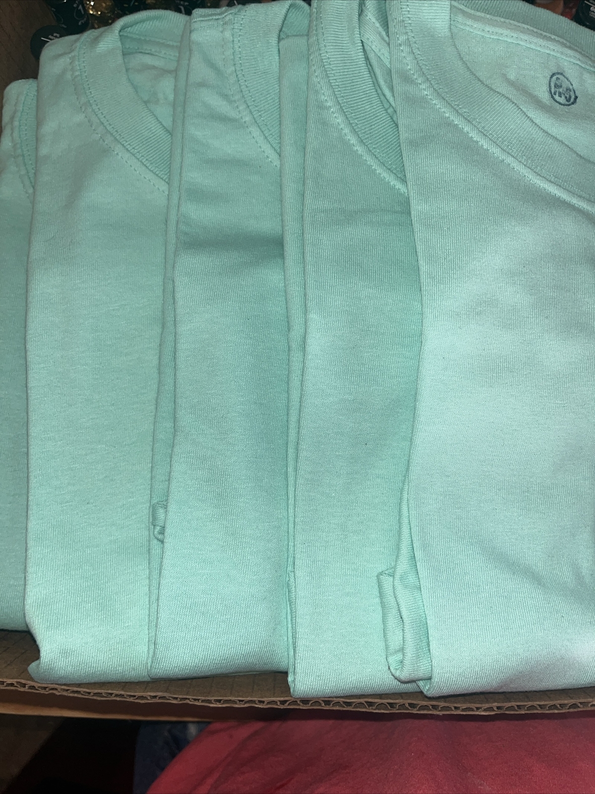 Pack Of 5 Hanes 5280 Mens Short Sleeve Essential 100% Cotton T-Shirt Mint gallery
