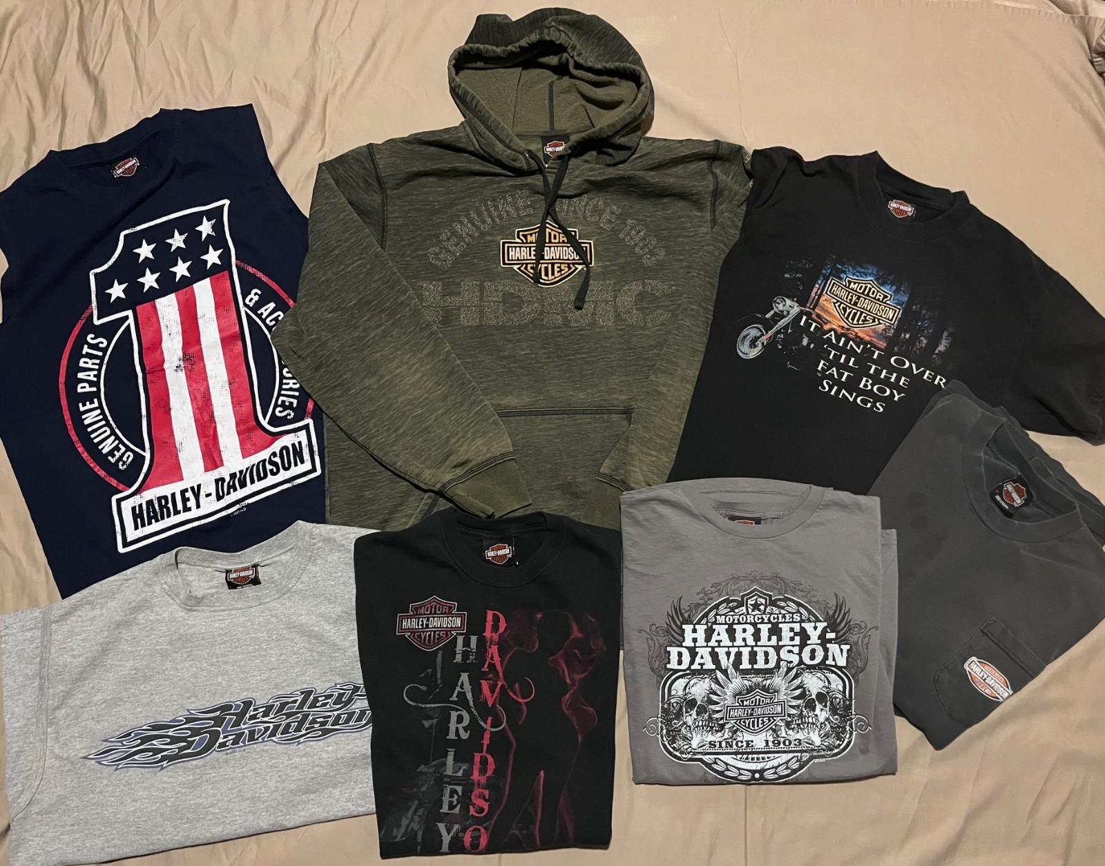 Harley Davidson Motorcycles Shirts Various sizes Lot of 7 FREE BEANIE gallery