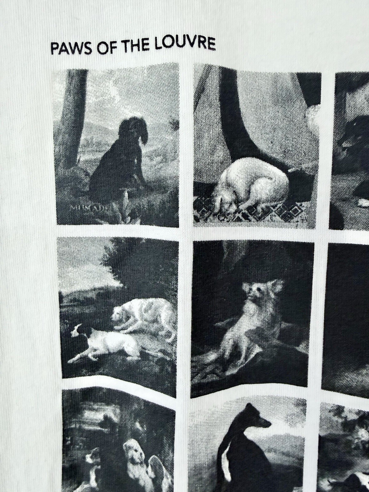 Uniqlo UTGP Louvre Museum Dog Art Graphic Tee White Size L | Paws of the Louvre gallery