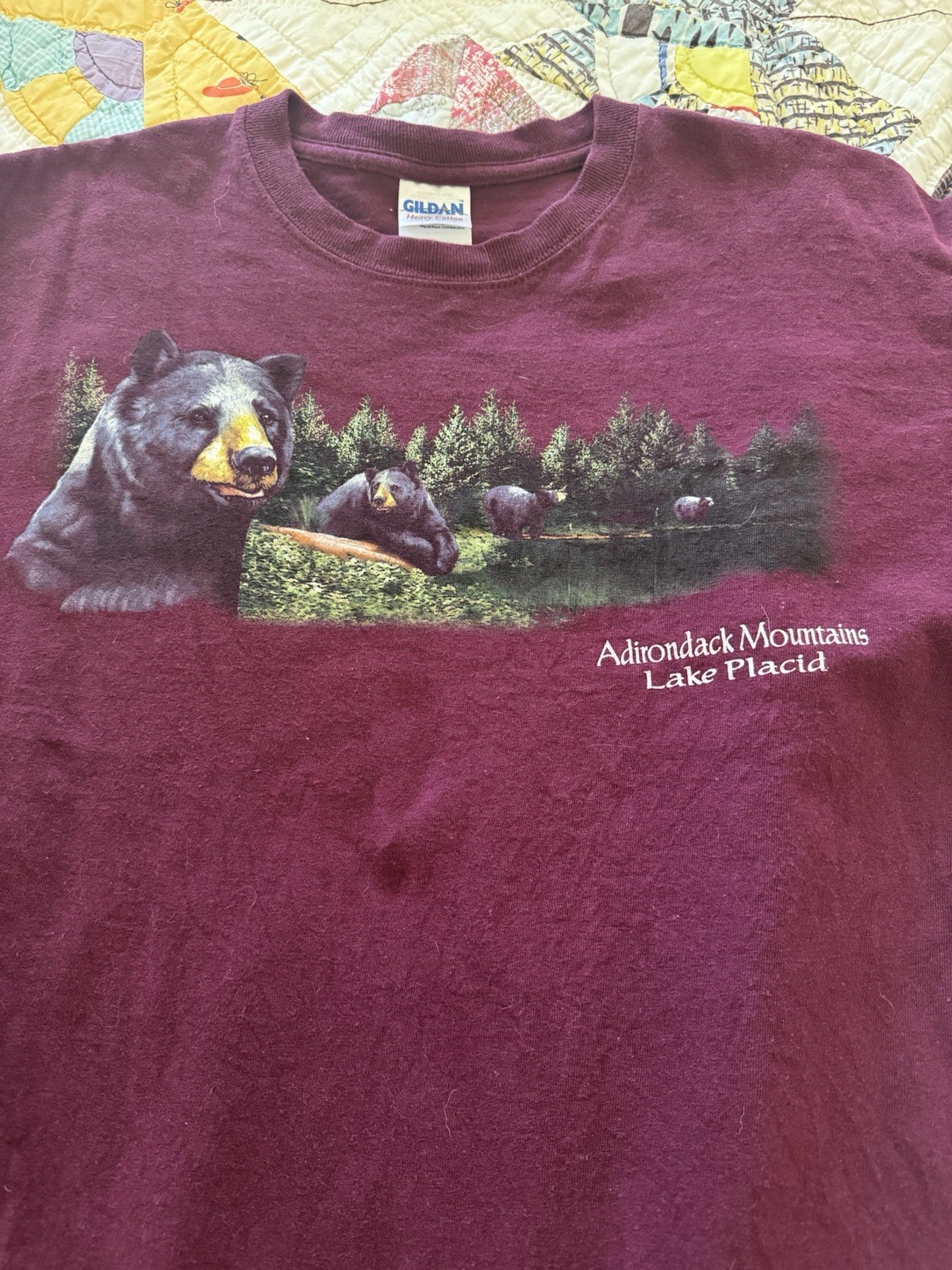 Vintage Gildan Adirondack Mountains Lake Placid Black Bears Short, Medium gallery