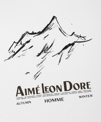 Aimé Leon Dore/ALD Summit Tee Medium (*New)