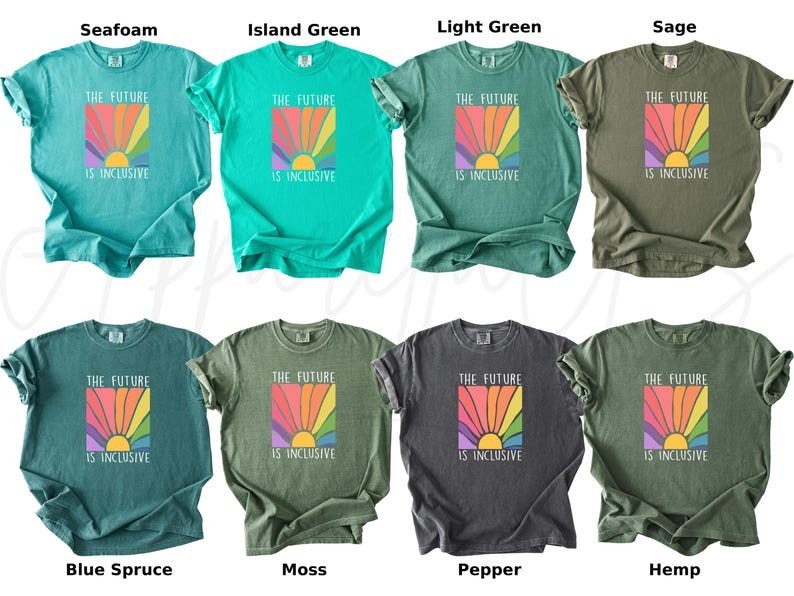 Comfort Colors The Future is Inclusive Shirt, Rainbow Shirt, Human Rights Shirt gallery