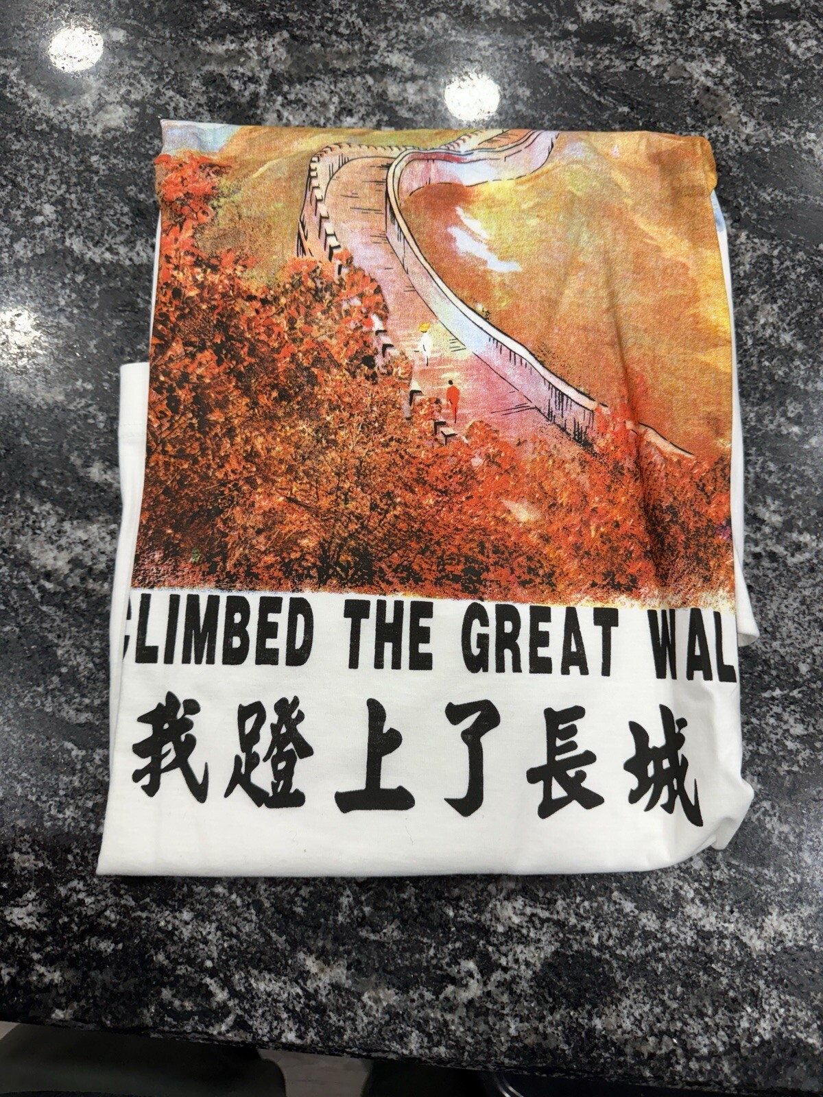 I Climbed The great Wall Of China T Shirt Size 105? gallery