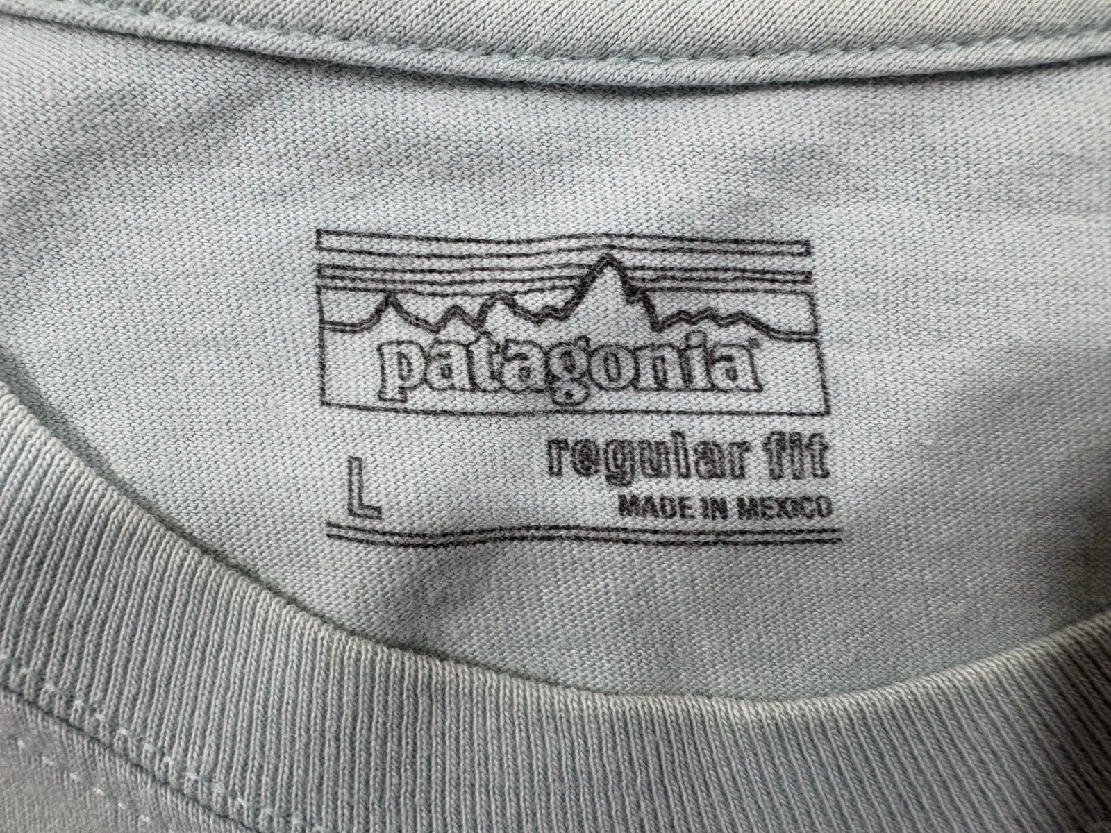 Patagonia Mens Live Simply Tent Life Short Sleeve Cotton T-Shirt Tubular Blue L gallery