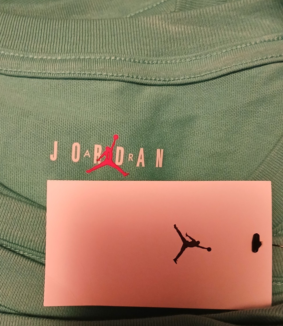 NEW 45$ Jordan Teal sneaker shirt SIZE XL gallery