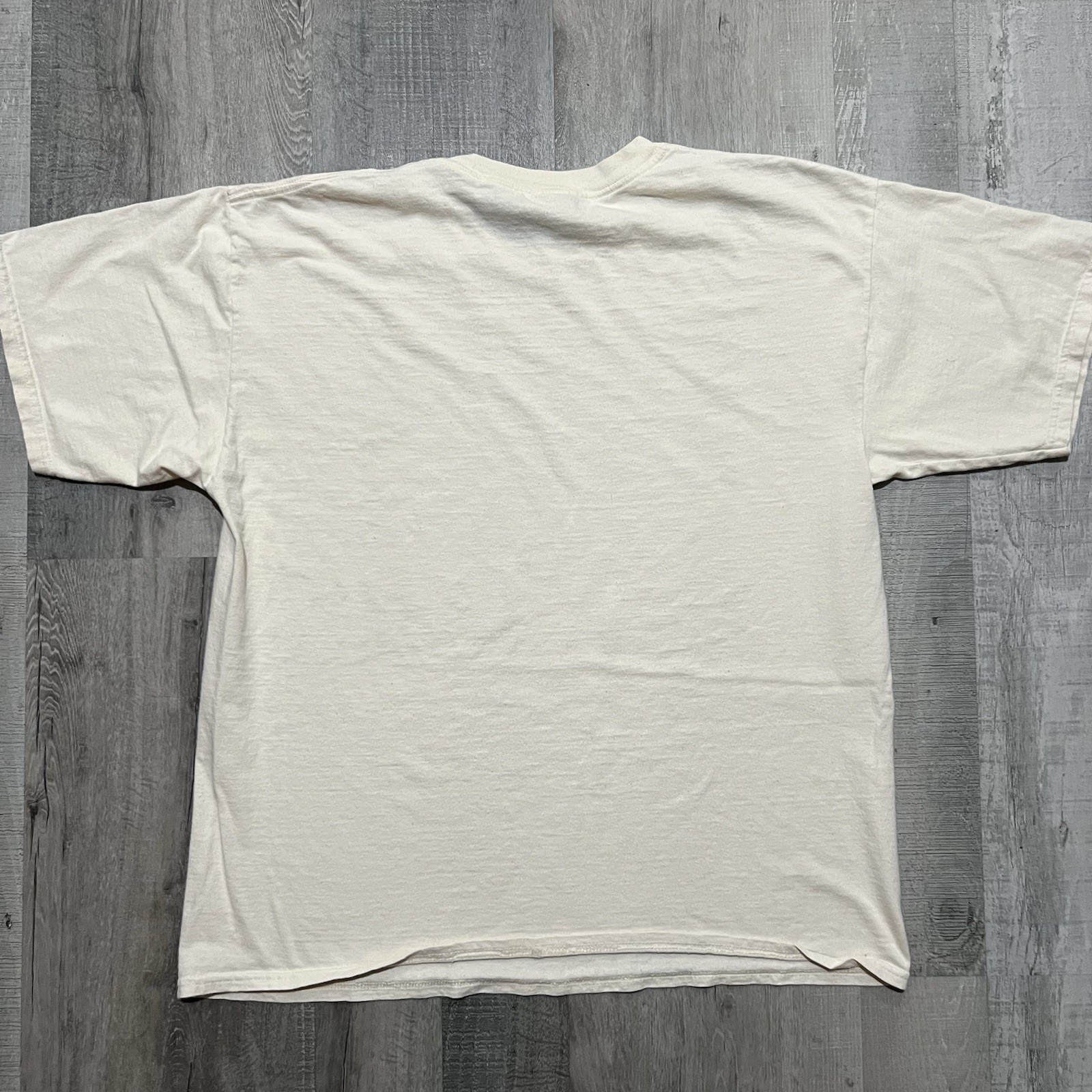 VTG Star Tulip Quilt T Shirt White Y2K Pennsylvania Amish Blanket Art T Shirt XL gallery