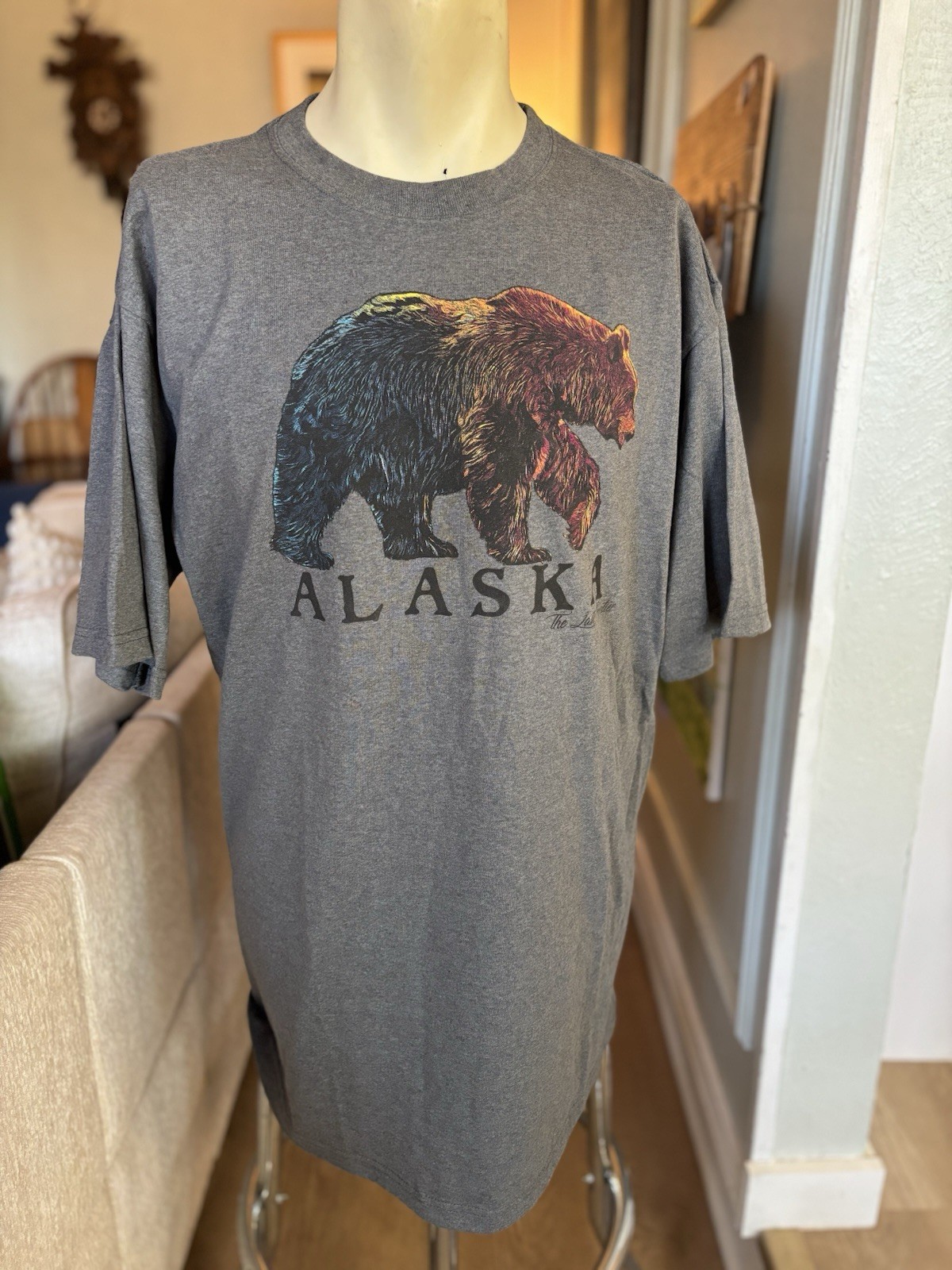 Vintage Y2K Alaska The Last Frontier T-shirt XL Eco & Mountain USA Made EUC gallery