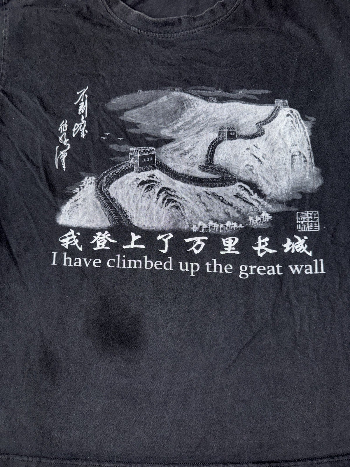 Vintage I Have Climbed Up The Great Wall China Tshirt Mens L/XL Long Mai Yuan gallery
