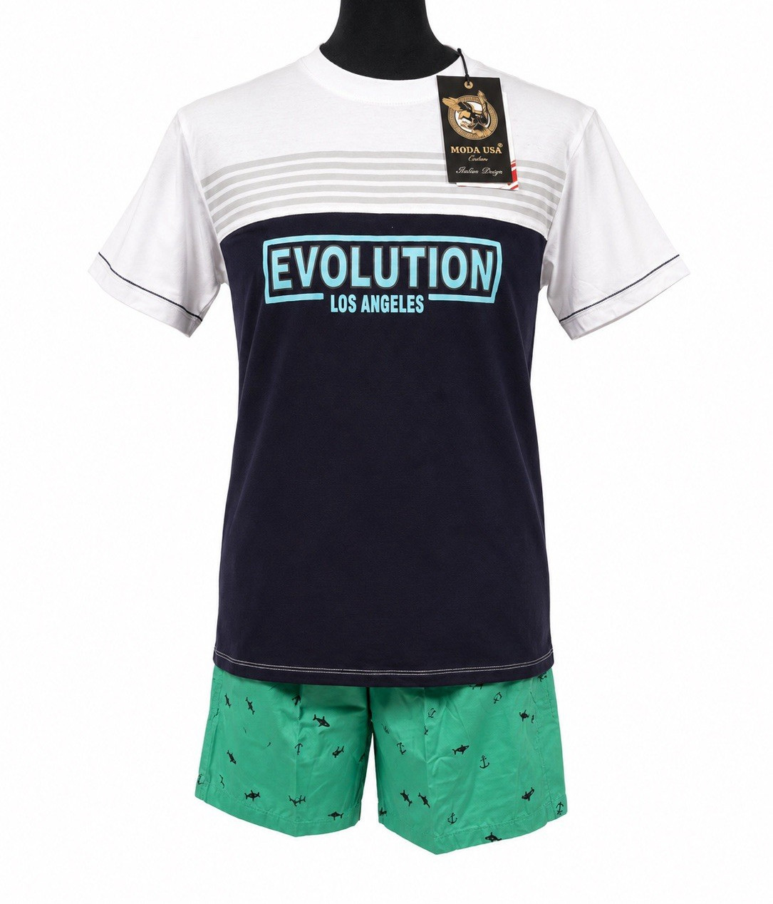 Moda USA Men's L Regular Evolution Los Angeles Colorblock Crew Neck Graphic Tee gallery