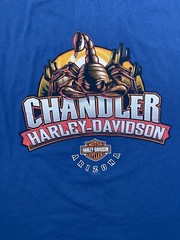 Vintage 2012 Harley Davidson Chandler Arizona Large Skater Baggy Y2K