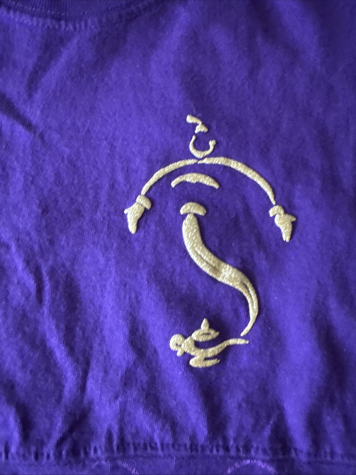 Aladdin Disney Spirit Jersey Shirt Mens Small Purple Movie Broadway Long Sleeve gallery