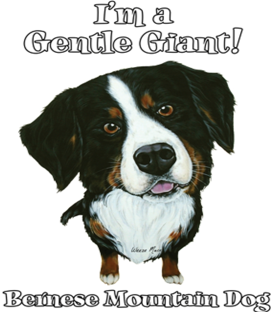 Bernese Mountain Dog Shirt - Gentle Giant - Berner Sennenhund - Small - 5X gallery