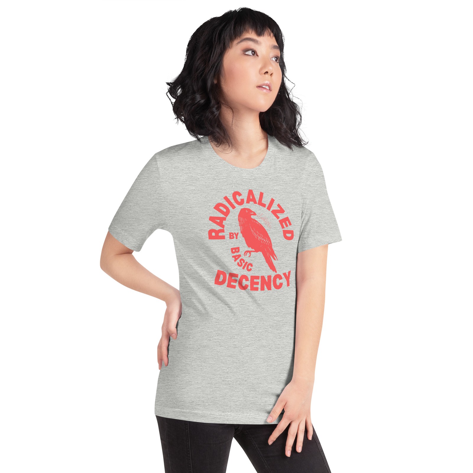 Radicalized by Basic Decency Unisex t-shirt Gift S,M,L,XL,2X,3X gallery
