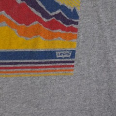 Levis Shirt Mens Large Gray Sunset Mountains Short Sleeve Crew Neck Tee Casual